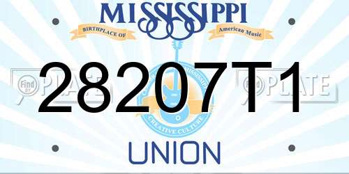 28207T1 Mississippi License Plate