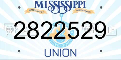 2822529 Mississippi License Plate