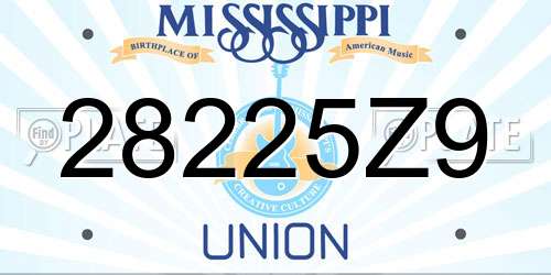 28225Z9 Mississippi License Plate
