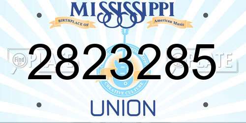 2823285 Mississippi License Plate