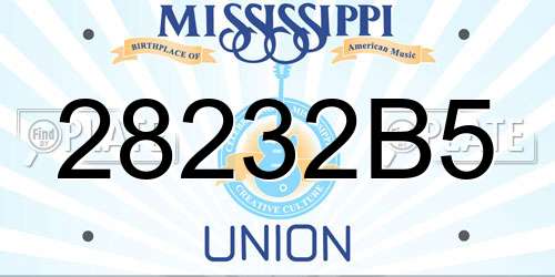 28232B5 Mississippi License Plate