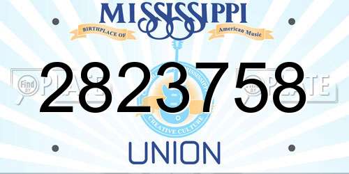 2823758 Mississippi License Plate