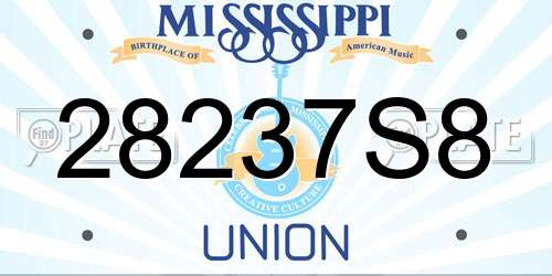 28237S8 Mississippi License Plate