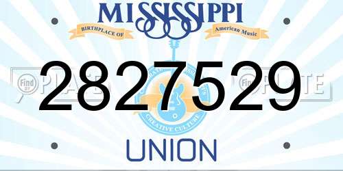 2827529 Mississippi License Plate