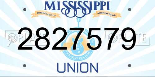 2827579 Mississippi License Plate
