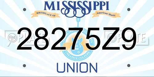 28275Z9 Mississippi License Plate