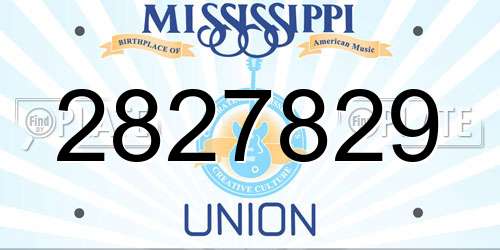 2827829 Mississippi License Plate