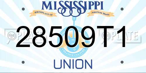 28509T1 Mississippi License Plate