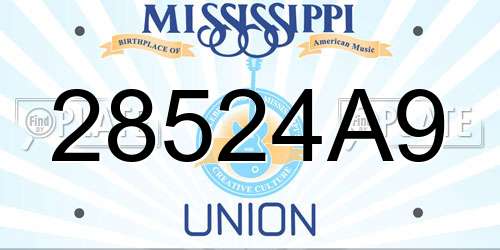 28524A9 Mississippi License Plate