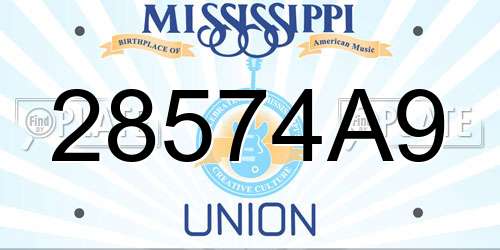 28574A9 Mississippi License Plate