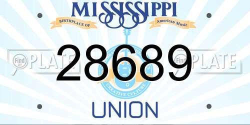 28689 Mississippi License Plate