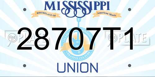 28707T1 Mississippi License Plate