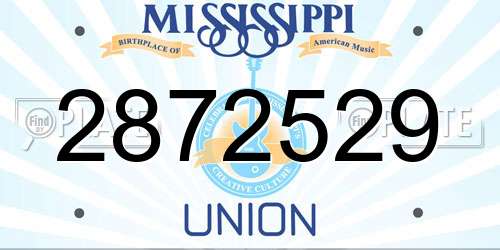 2872529 Mississippi License Plate