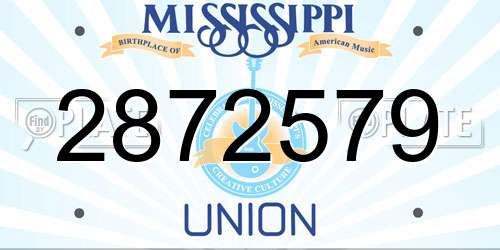 2872579 Mississippi License Plate