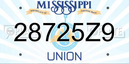 28725Z9 Mississippi License Plate
