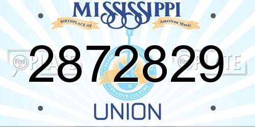 2872829 Mississippi License Plate