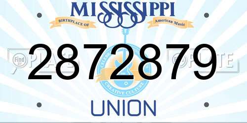 2872879 Mississippi License Plate