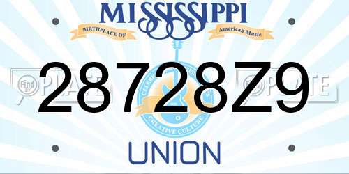 28728Z9 Mississippi License Plate