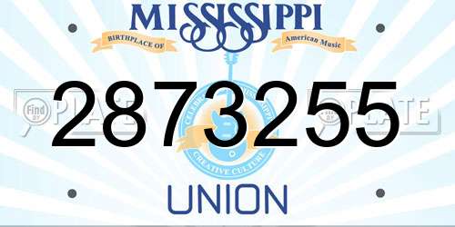 2873255 Mississippi License Plate