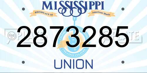 2873285 Mississippi License Plate
