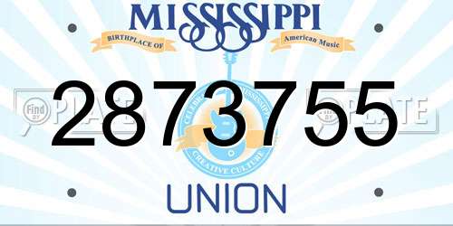 2873755 Mississippi License Plate