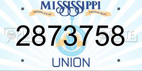 2873758 Mississippi License Plate