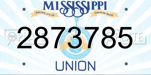 2873785 Mississippi License Plate
