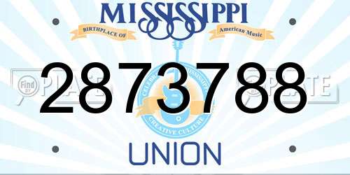 2873788 Mississippi License Plate