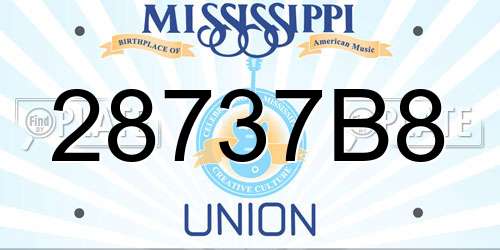 28737B8 Mississippi License Plate