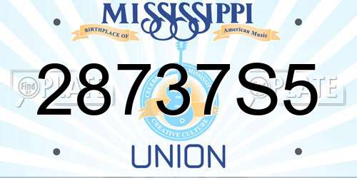 28737S5 Mississippi License Plate