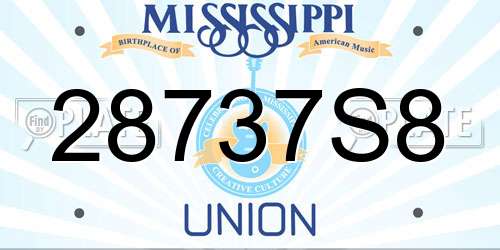 28737S8 Mississippi License Plate