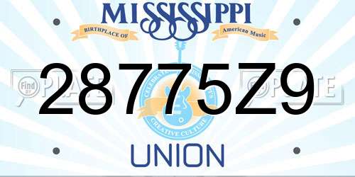 28775Z9 Mississippi License Plate
