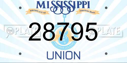 28795 Mississippi License Plate