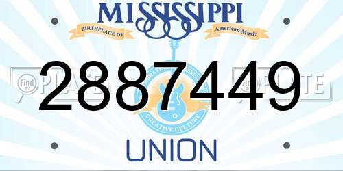 2887449 Mississippi License Plate
