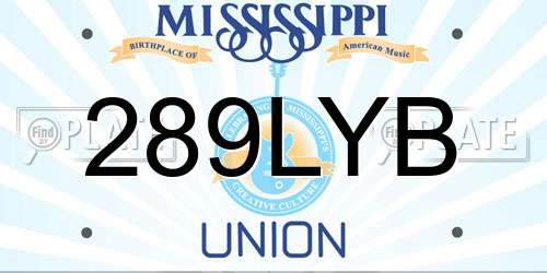289LYB Mississippi License Plate