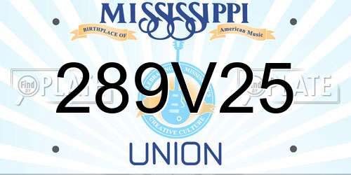 289V25 Mississippi License Plate