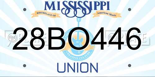 28BO446 Mississippi License Plate