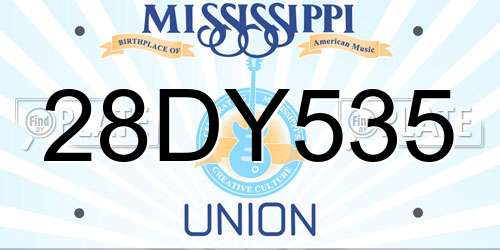 28DY535 Mississippi License Plate