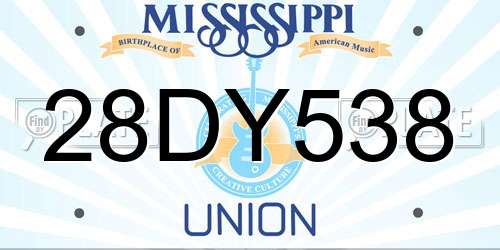 28DY538 Mississippi License Plate