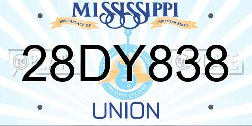 28DY838 Mississippi License Plate