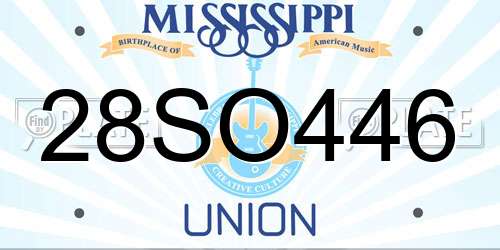 28SO446 Mississippi License Plate