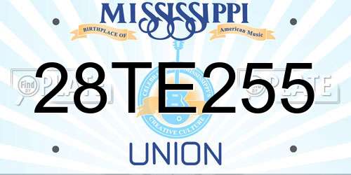 28TE255 Mississippi License Plate