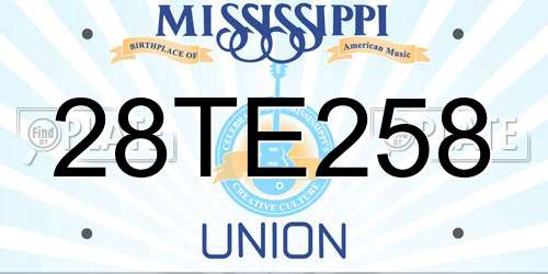 28TE258 Mississippi License Plate