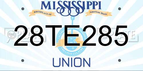 28TE285 Mississippi License Plate