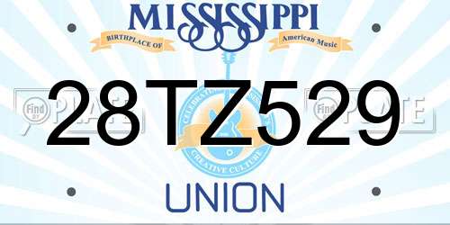 28TZ529 Mississippi License Plate