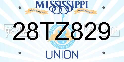 28TZ829 Mississippi License Plate