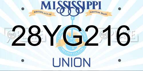 28YG216 Mississippi License Plate