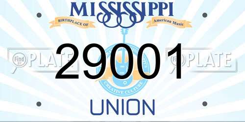 29001 Mississippi License Plate