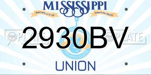 2930BV Mississippi License Plate
