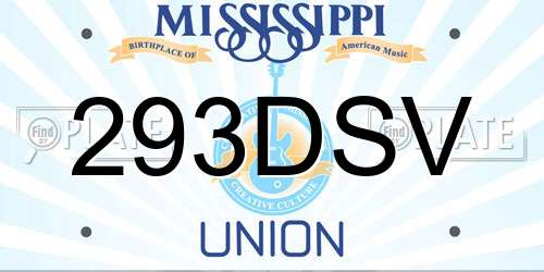 293DSV Mississippi License Plate